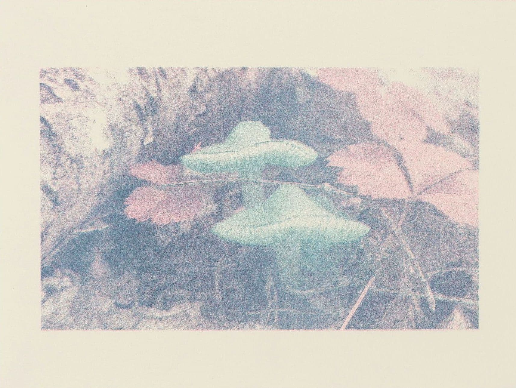 Mushroom