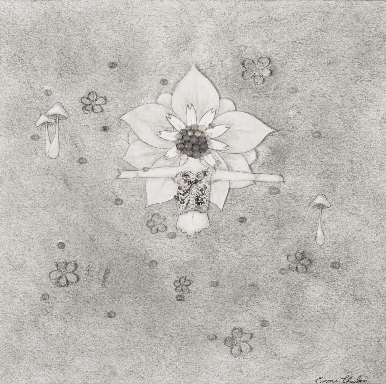 Rot and Renewal - view 1